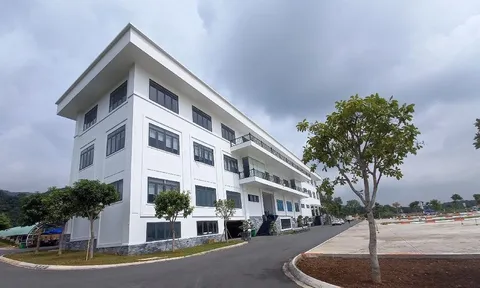 Chưa được cấp phép, trung tâm sát hạch lái xe ngang nhiên xây dựng